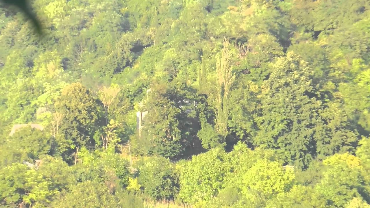 DEISI (ხარაგაულის რაიონი სოფელი დეისი)