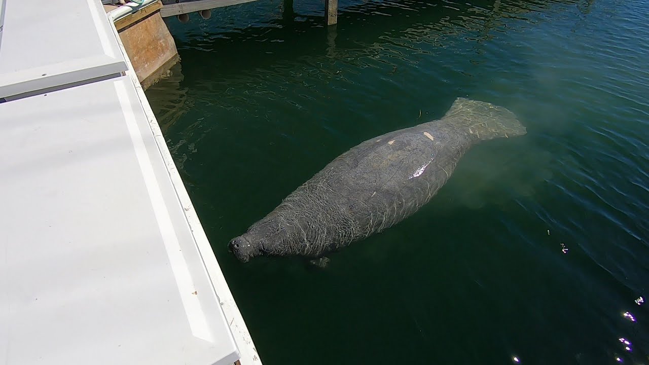 Boot Key to Boca Chica Marina-NAS Key West