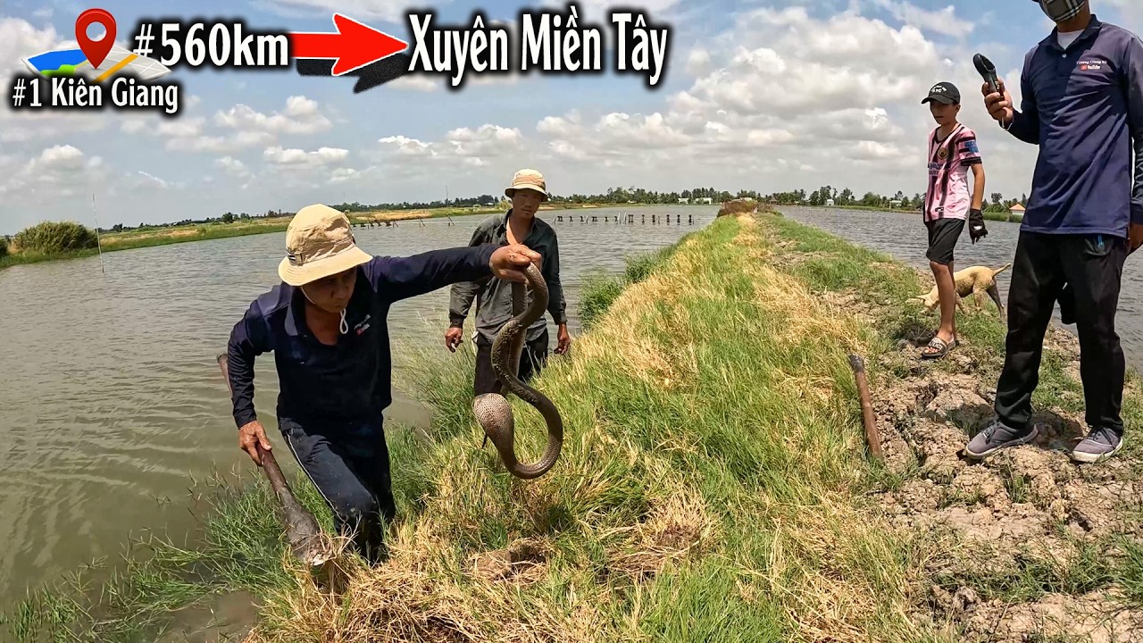 Chúng Tôi Đã Đi Quãng Đường Xa Nhất, Đi Xuyên Miền Tây, Để Tìm Rắn Giúp Mọi Người | TGSB #1103