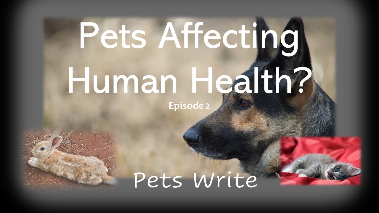 Can Pets Improve Our Health?