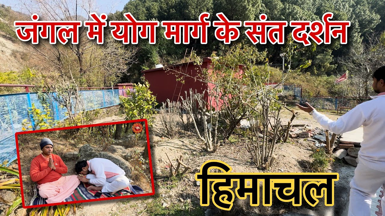 Mysteries of Jungle Yoga Revealed