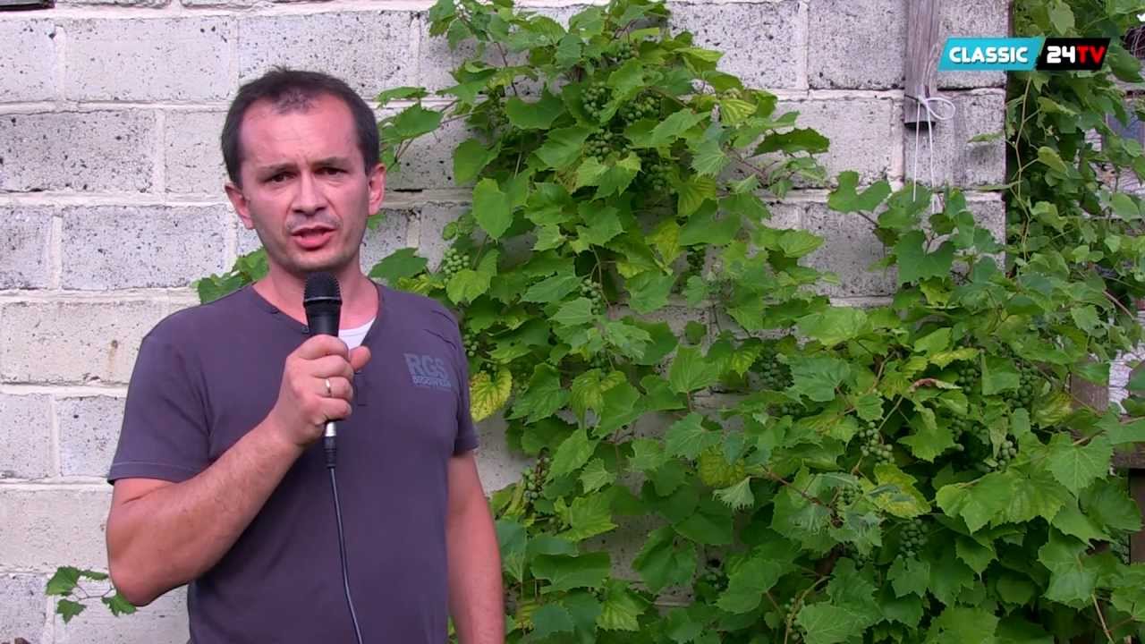 Prezentacja - Winnica Krzysztof Indra - Radymno - www.ctv24.eu
