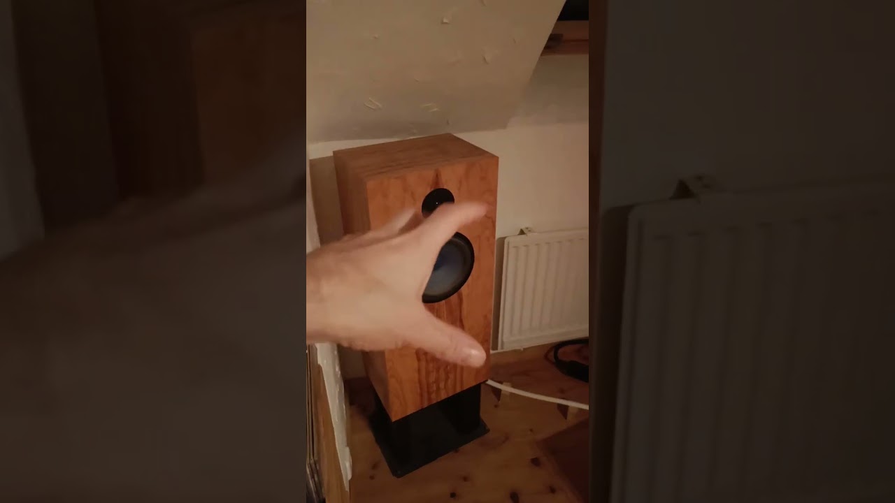 Warm vs analytical speakers