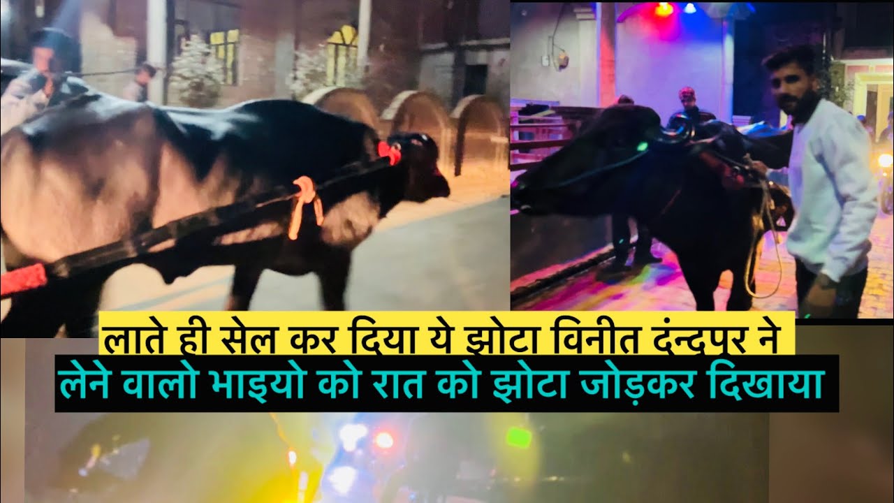 विनीत दंन्दुपुर ने सेल कर दिया ये झोटा आते ही बिक गया 