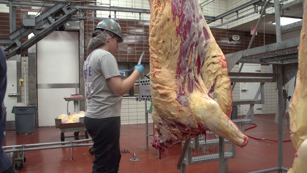 TSU Inspection Process