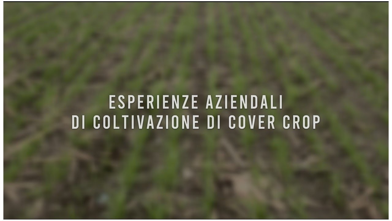 Esperienze aziendali di coltivazione di cover crop: il parere di due agricoltori