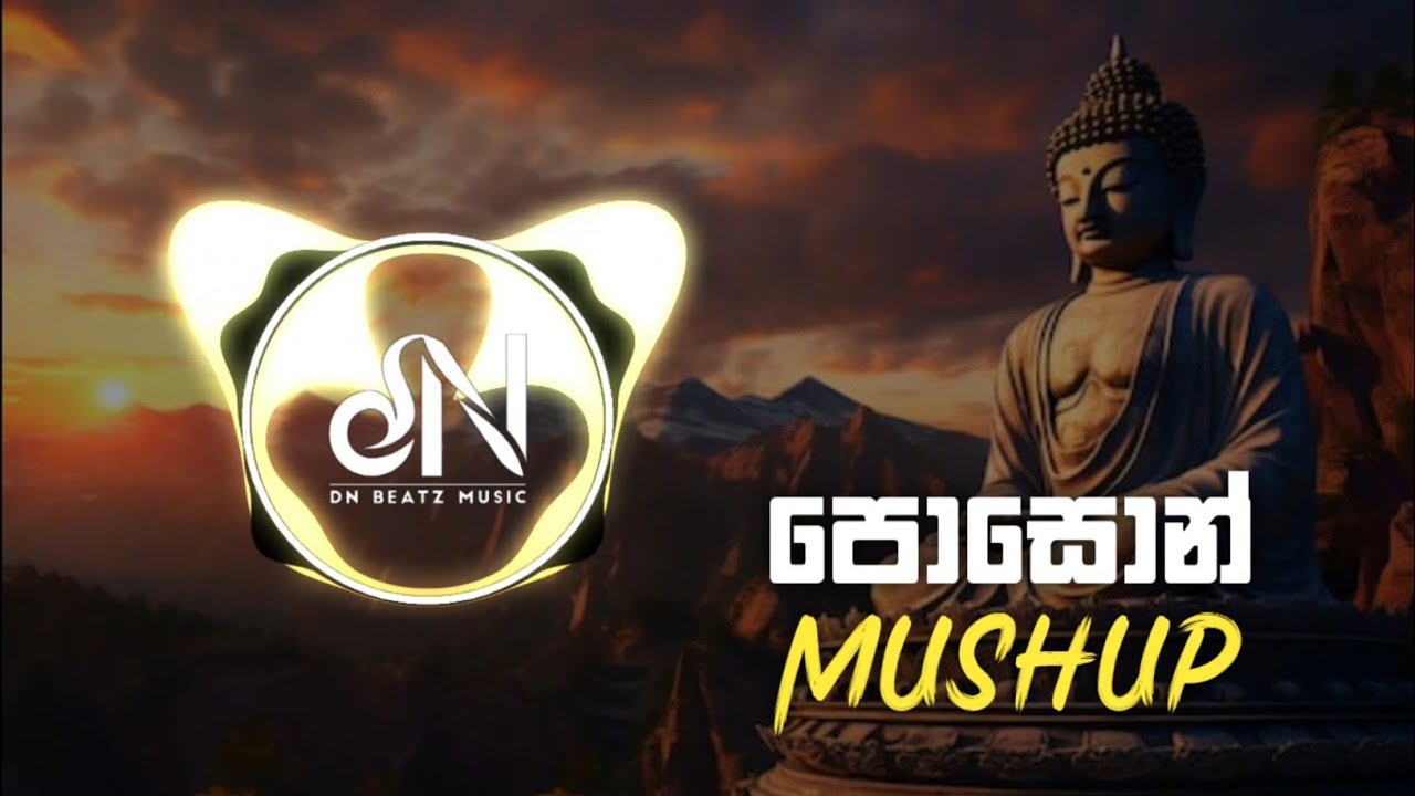 Poson Mushup 2024 (DNBeats Remix)