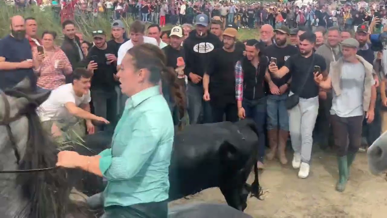 La Gaze de la fête votive d’Aigues-Mortes le mardi 8 octobre 2024 !