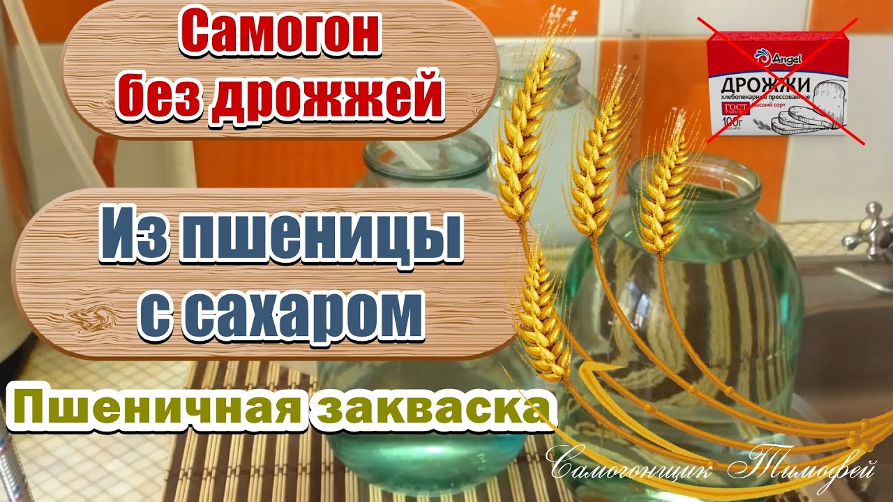 Самогон без дрожжей 🥃 Самогон из пшеницы с сахаром 🥃 Пшеничная закваска