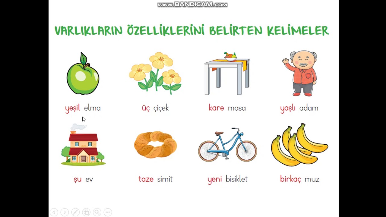 2. SINIF VARLIKLARIN &Ouml;ZELLİKLERİNİ BELİRTEN KELİMELER