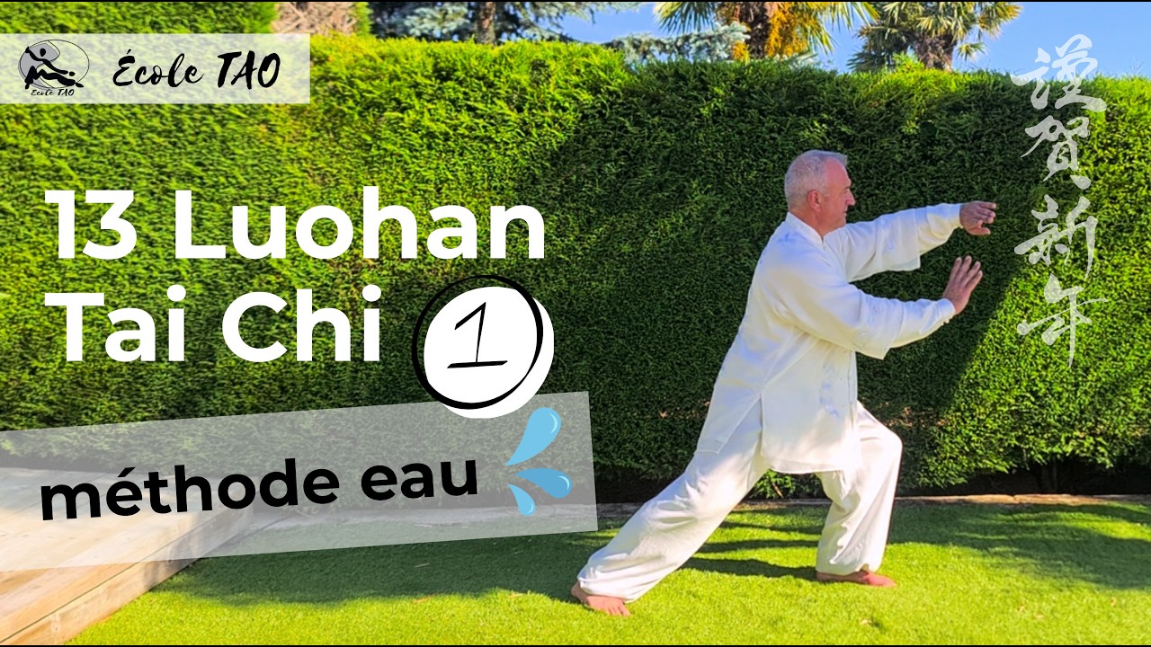 13 Luohan Taiji Méthode eau Par Thierry Alibert 7ème Dan FFK