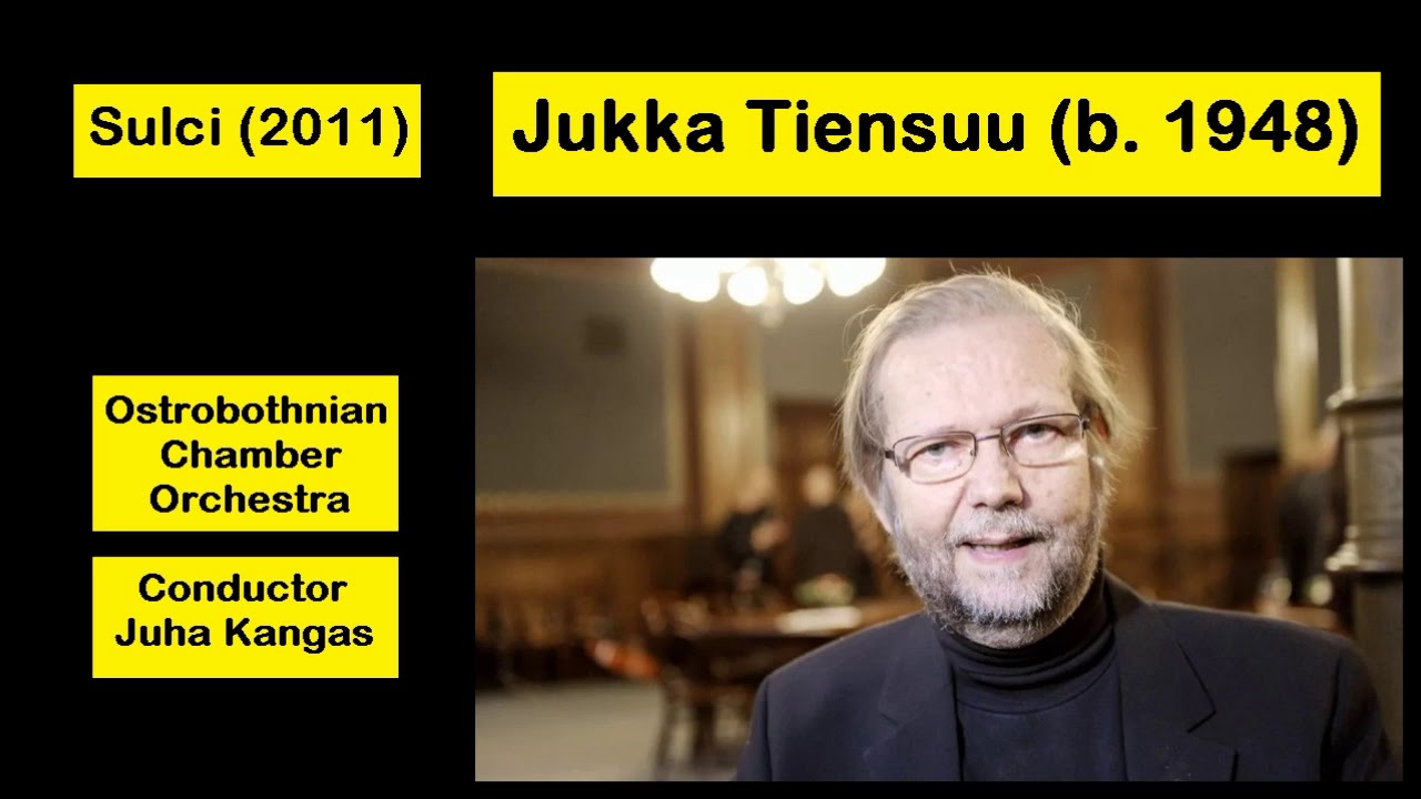 Jukka Tiensuu (b. 1948) - Sulci (2011)