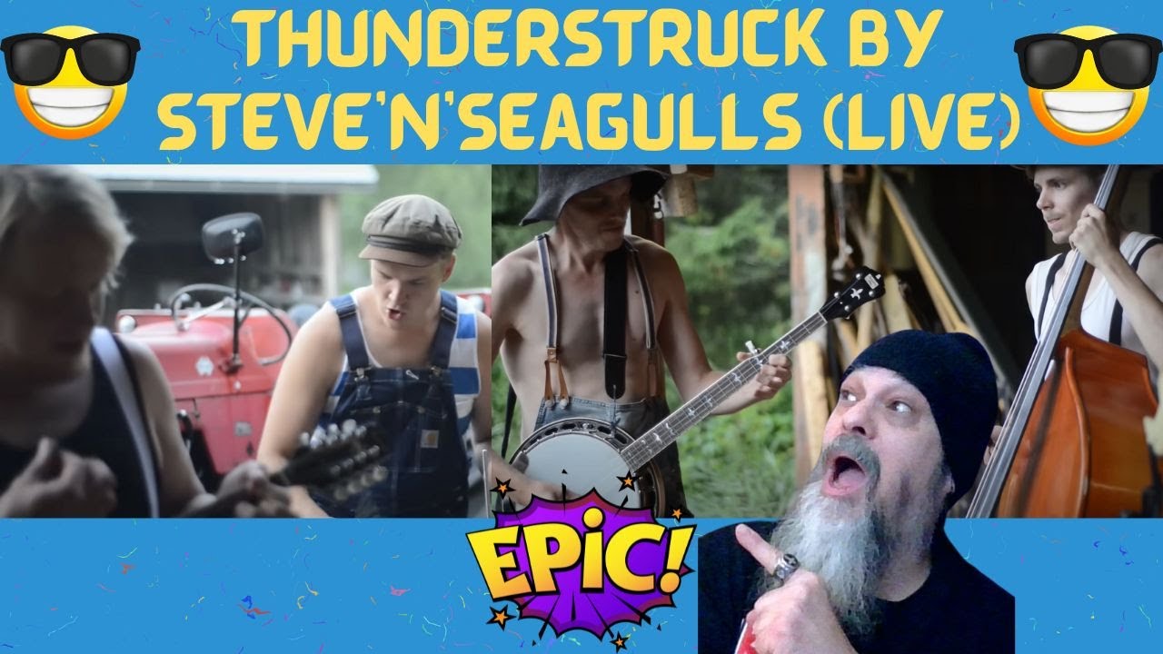 Metal Dude * Musician (REACTION) - Thunderstruck by Steve'n'Seagulls (LIVE)
