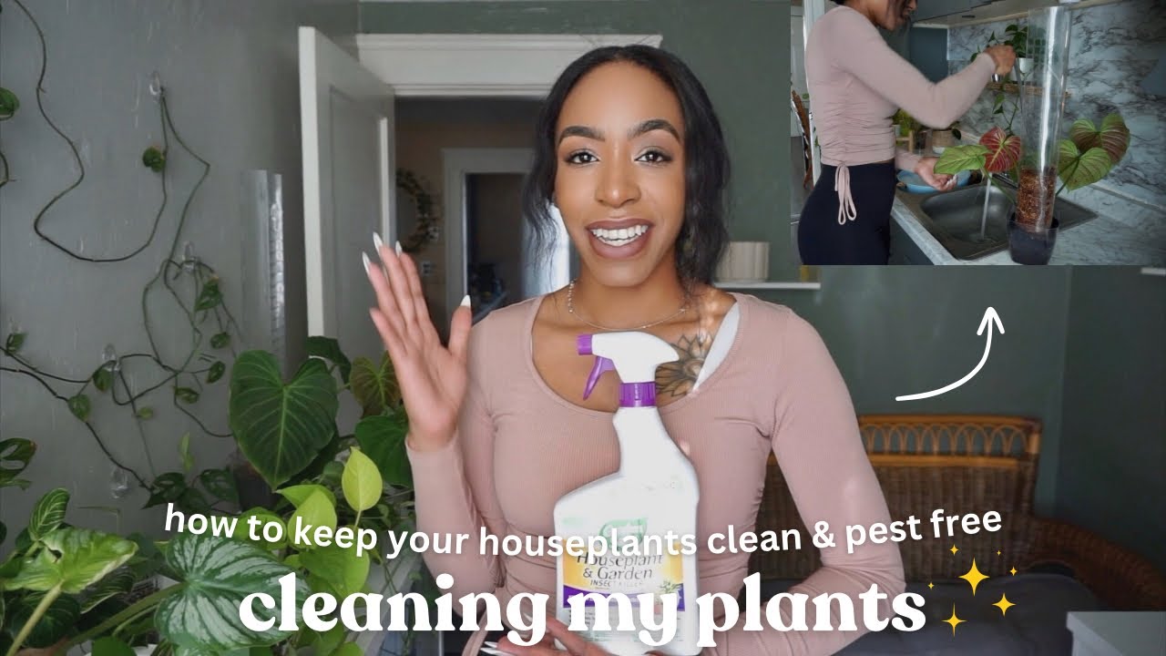 How I Keep My Houseplants Clean & Pest Free 🌱 Relax & Wash My Plants With Me