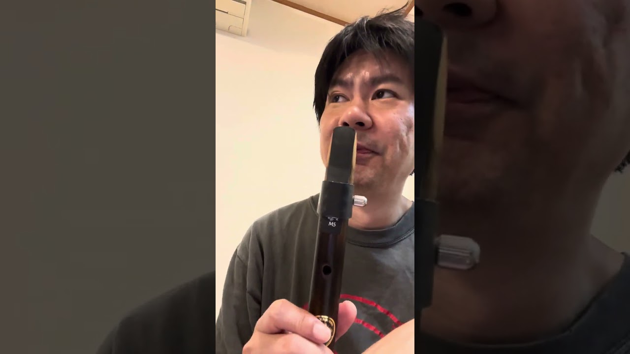 Blowing Xaphoon with BG Clarinet Ligature and Forestone Baritone Sax Black Bamboo MS