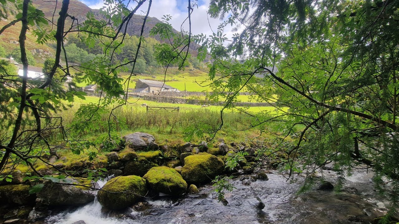 Where the River Flows 🏞️ | Neoclassical Piano for Work & Calm
