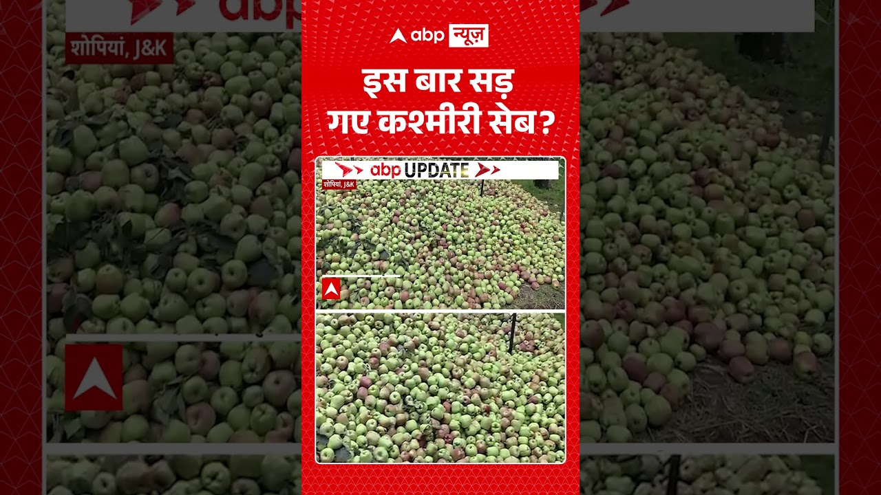 Viral Video : इस बार सड़ गए कश्मीरी सेब ?  | #KashmirApple #FruitMandi