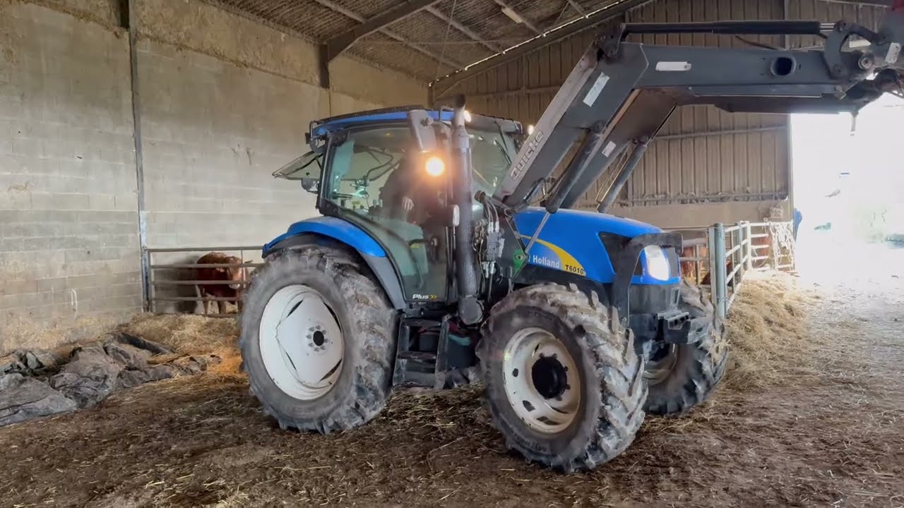 www.AgroImport.ro NEW HOLLAND T6010 -  year 2011