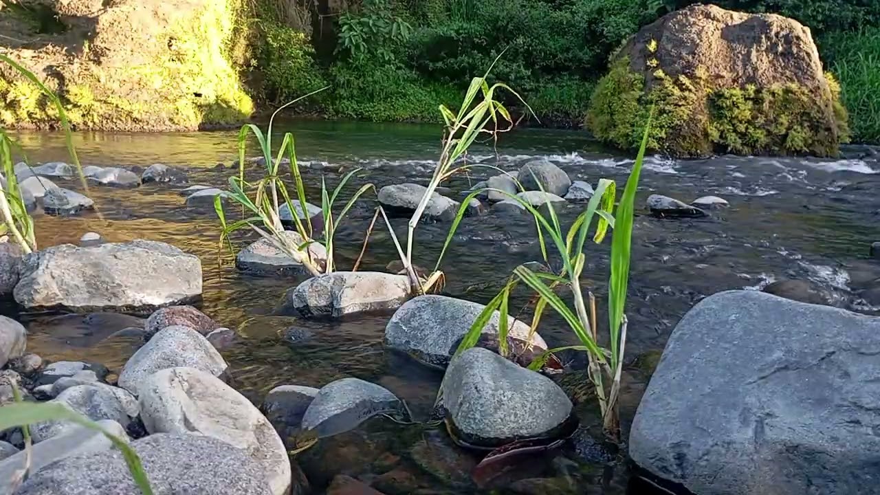 Powerful Mountain River Rapids in 4K – Relaxing Water Sounds for Study & Meditation