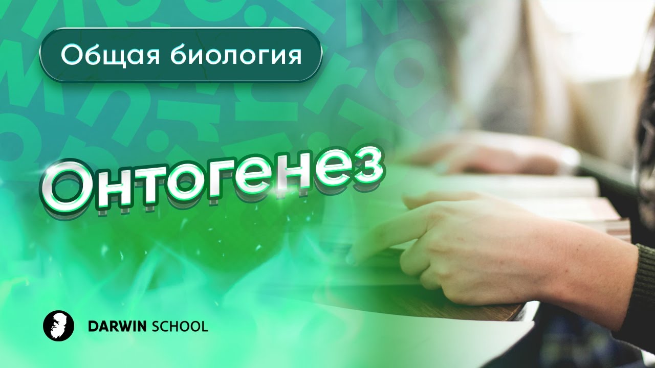 Тема № 7: Онтогенез
