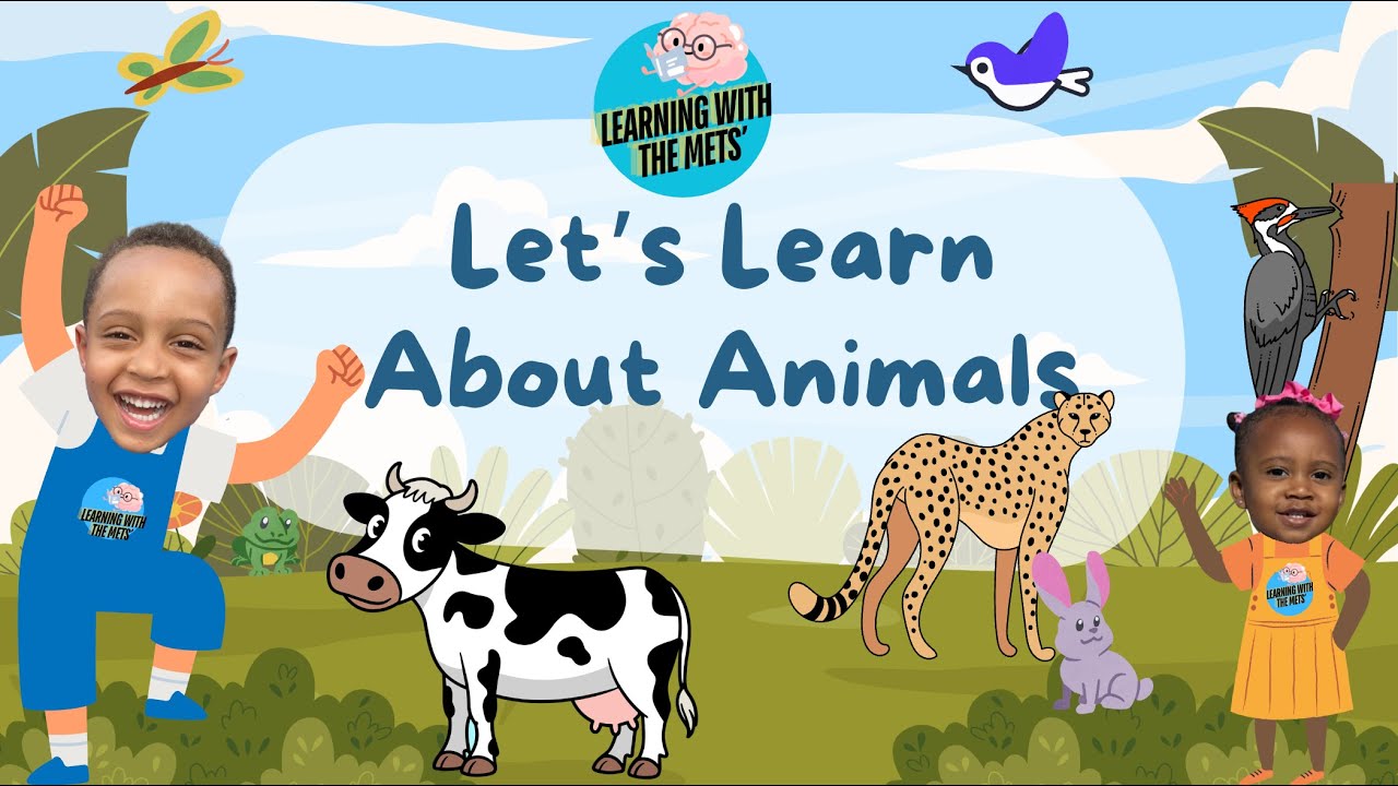 Animals