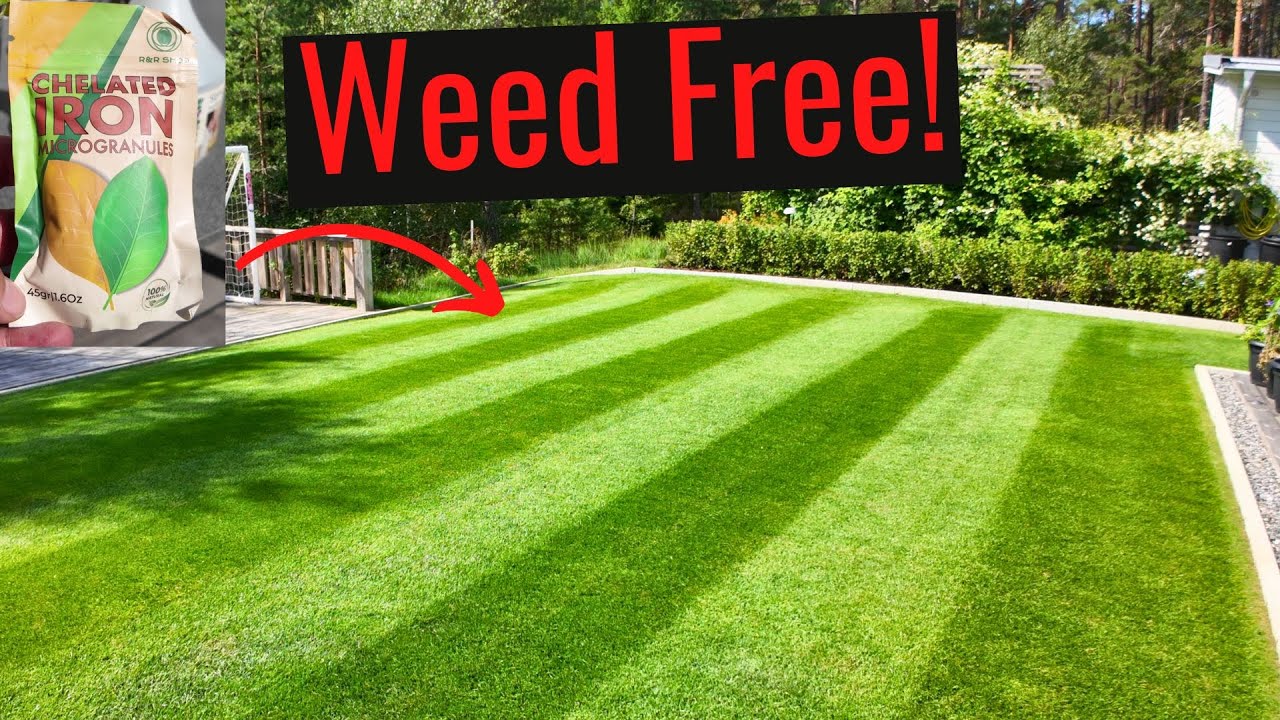Weed free with only IRON!
