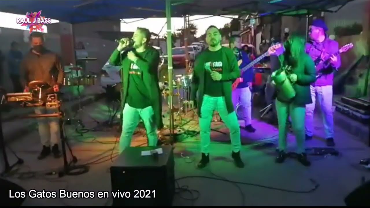 Los Gatos Buenos 2021 Despedida Álvaro Contreras Q.E.P.D.