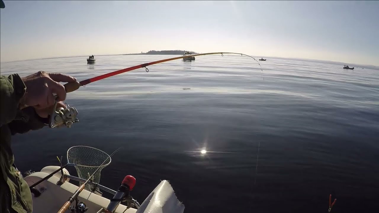 Pesca sul Garda 5 febb apertura coregoni