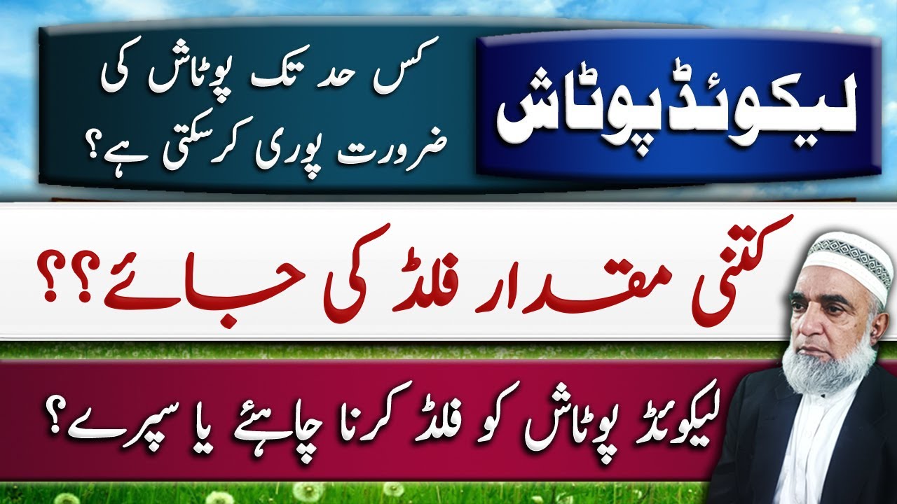Use of Liquid Potash in Wheat crop || Crop Reformer