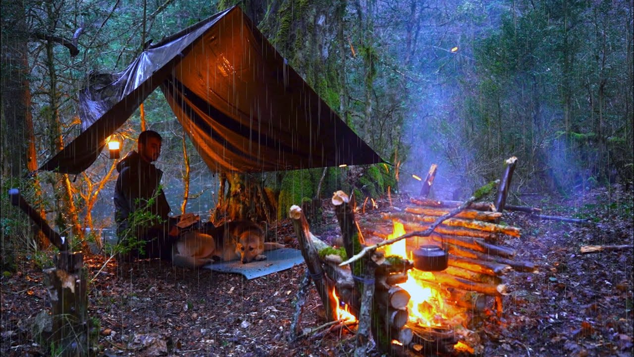 Попал под сильный дождь вместе с моей собакой! — Кемпинг в hot-tent под проливным дождём