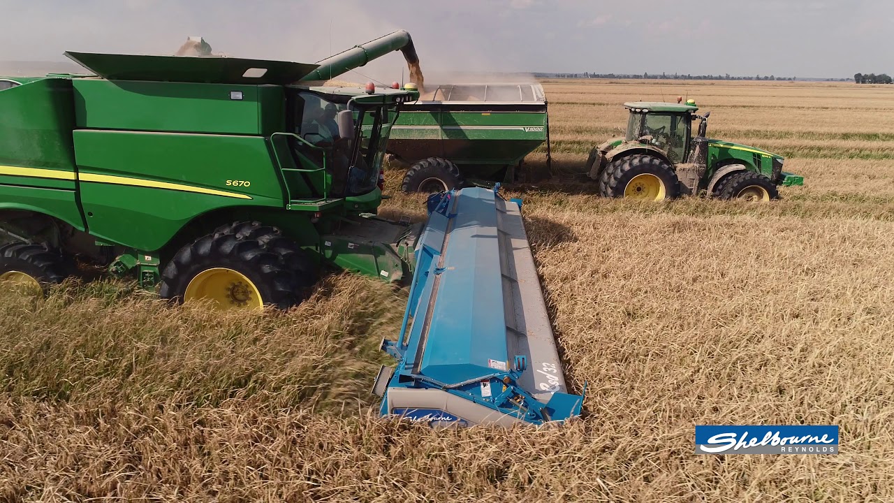 Shelbourne Reynolds rice production