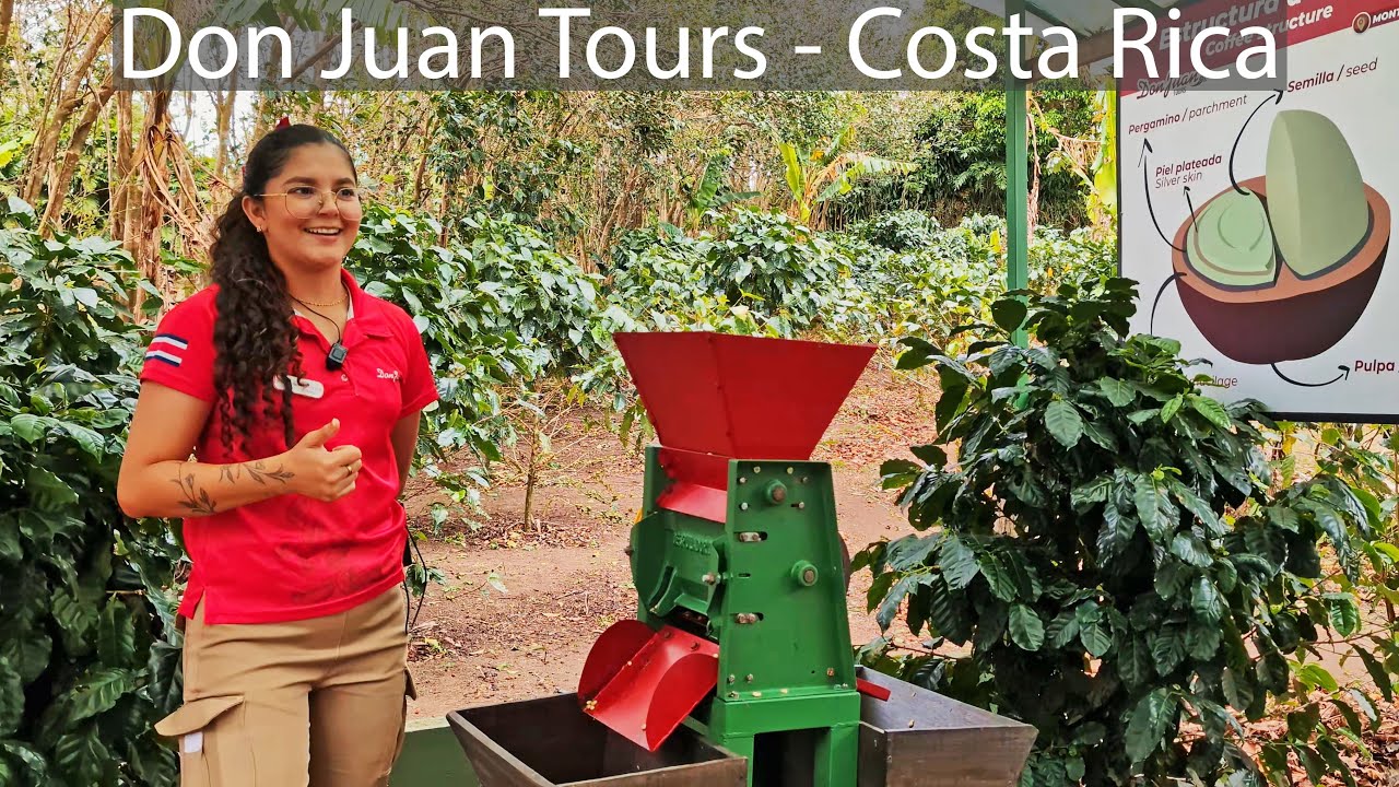 Don Juan Tours Monteverde, Costa Rica - Coffee, Cacao and Sugarcane Tour with delicious tastings