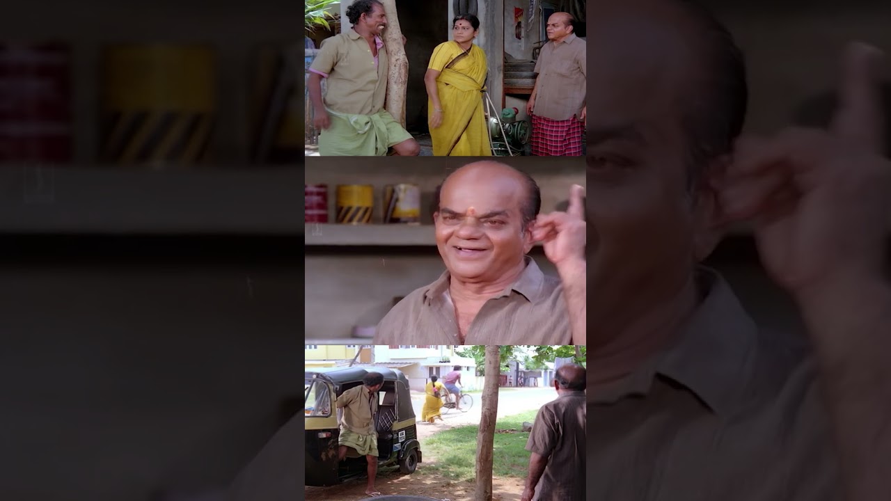 എൻ്റെ നാരായണേട്ടനെ കണ്ടോ ? | KPAC Lalitha Comedy | Mamukoya Comedy | Sankaradi Comedy | Mammootty |