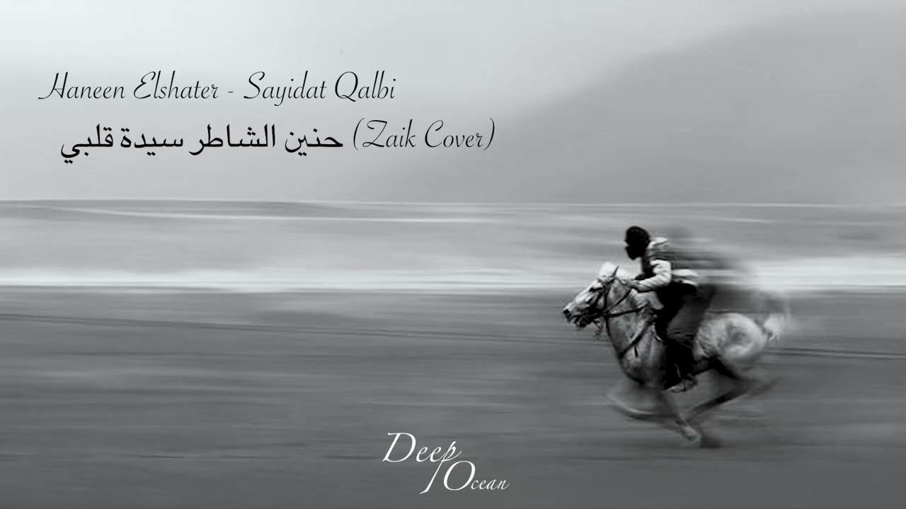 Haneen Elshater - Sayidat Qalbi \\ حنين الشاطر سيدة قلبي (Zaik Cover)
