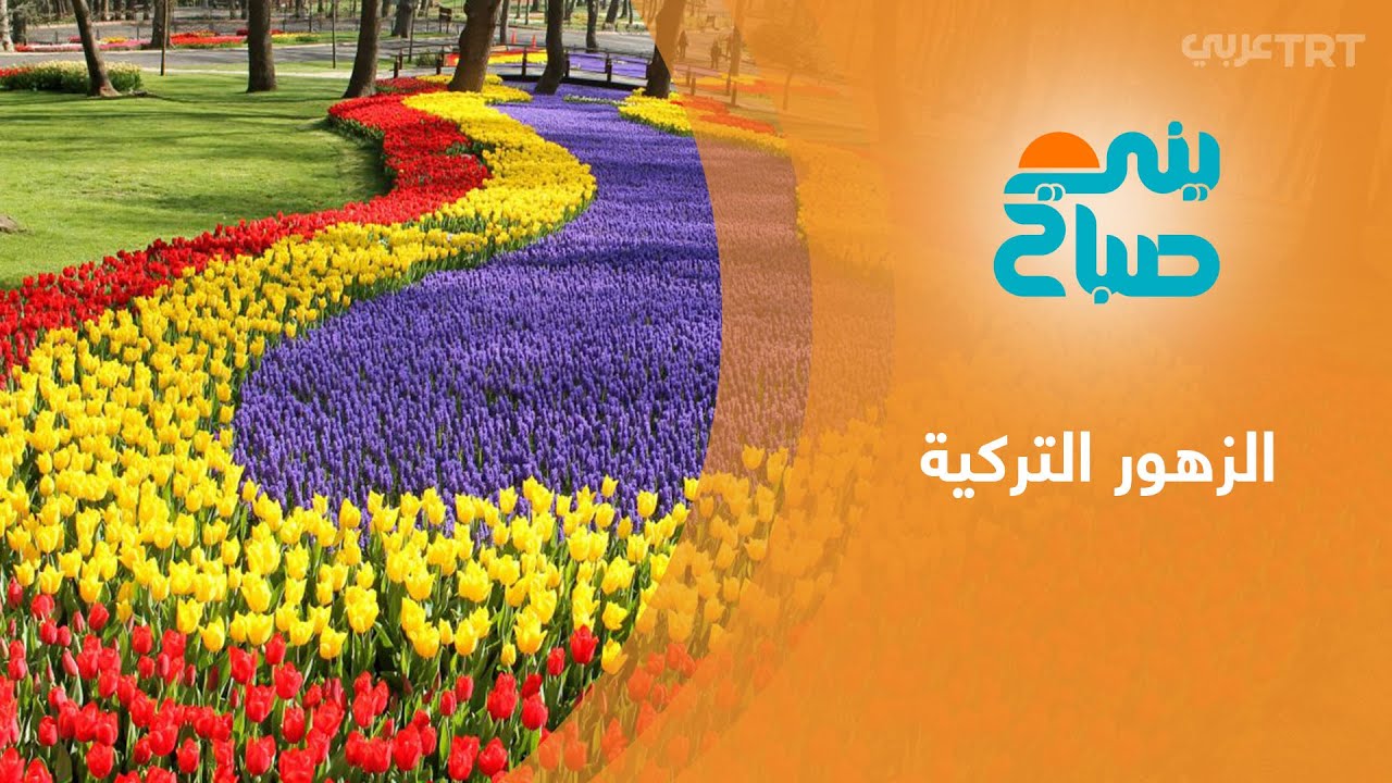 تركيا تنتج نحو 100 نوع من الزهور تصدر إلى 83 دولة حول العالم