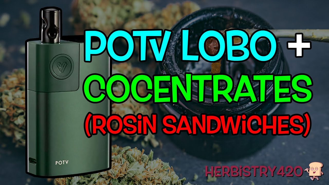 🚀 The Lobo + Concentrates = NEXT LEVEL HIGH! 🔥💨 (You Gotta Try This!)
