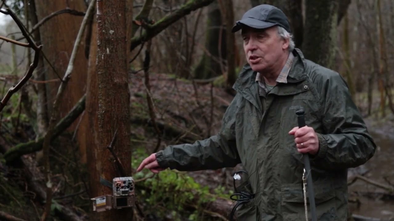 Camera trapping in the Fellfoot Forward area with Guy Broome