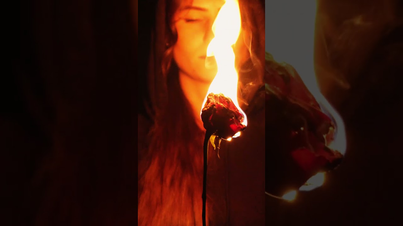 The fire is real!🔥🔥 NO AI!🚫🚫 #fire #shorts #cinematic #noai