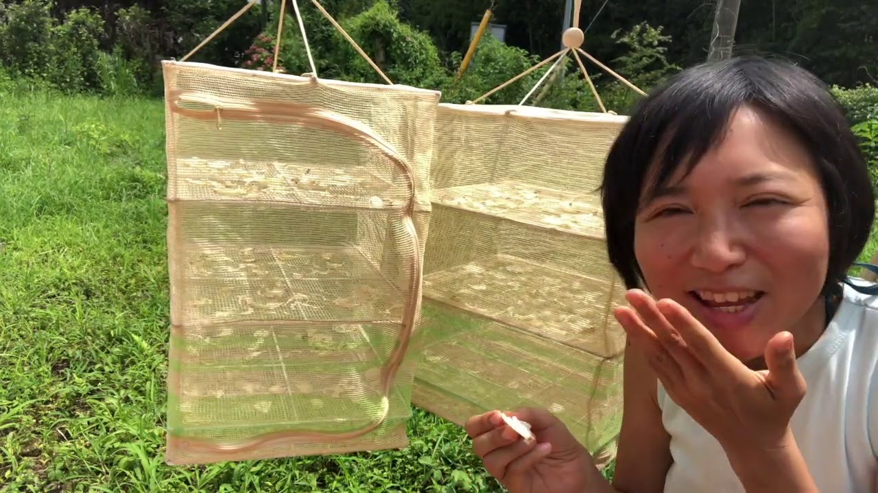 【干し野菜生活】干し玉ねぎの干し加減