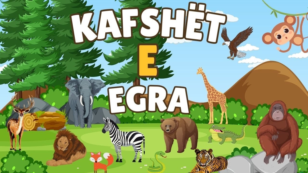 Kafshët e Egra në Habitatin e Tyre | Momente të Mahnitshme të Jetës së Egër