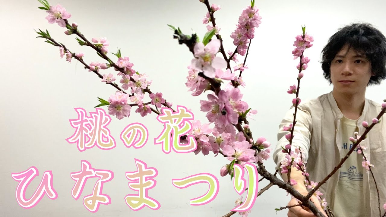 【ひなまつり】初心者でも簡単、お洒落でアートなお花の生け方！【いけばな】