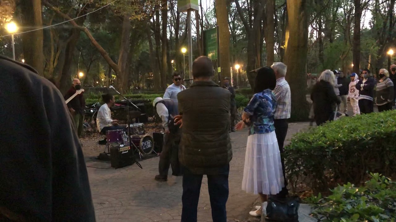 Twist and Shout · Cóver de Los Beatles por Los Bichos del Sotano en Parque México, CDMX