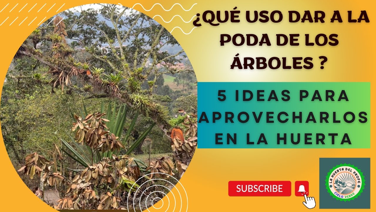 CINCO USOS DE LOS RESIDUOS O RESTOS DE PODAS EN LA HUERTA: FERTILIZANTES ORGÁNICOS Y CASEROS
