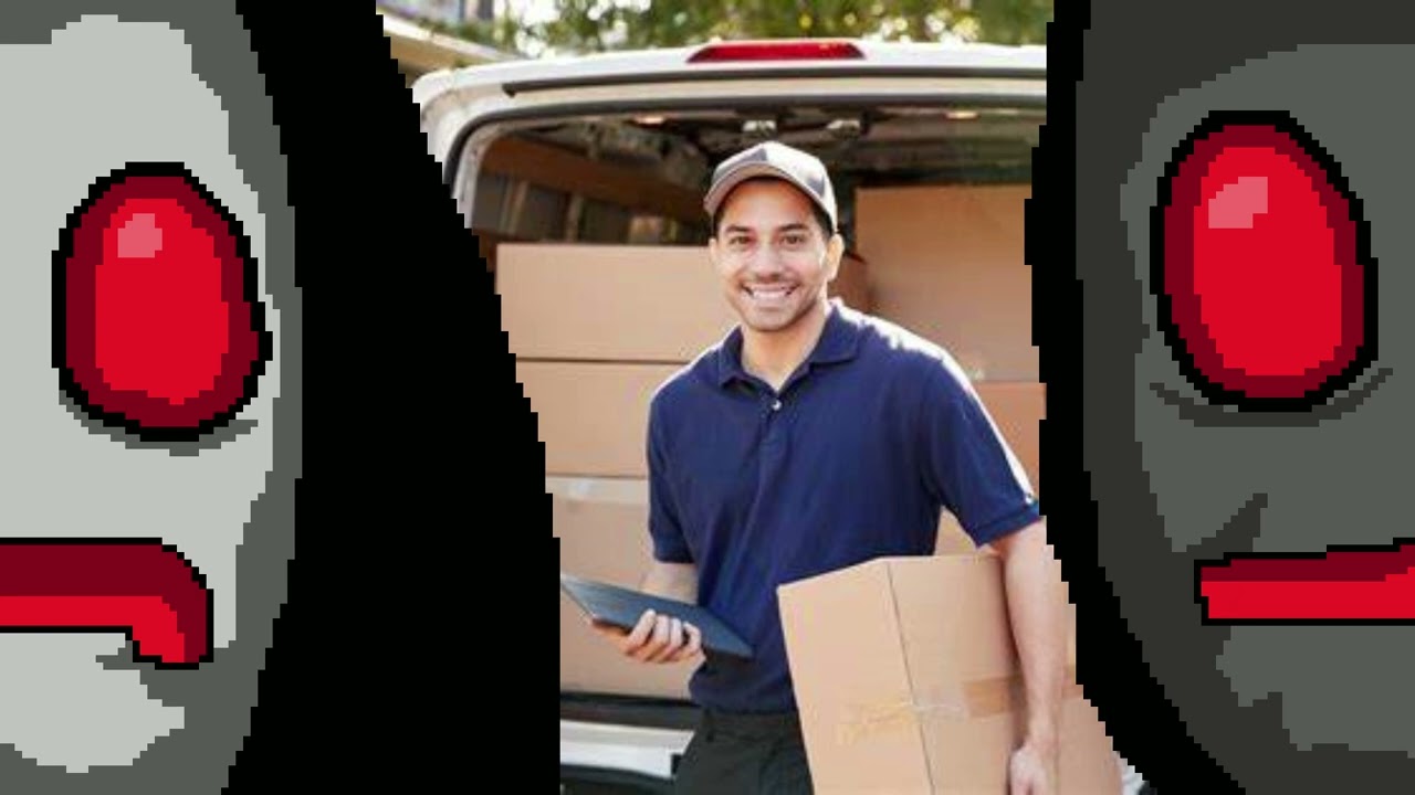 LISA: The Hatless - Expedited Delivery