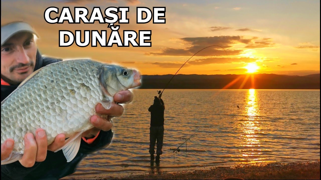 Pescuit CARAS MARE La DUNARE în LOCAȚIE NOUĂ Înainte de Prohibiție 2023 - Izvoru Frumos, Mehedinti