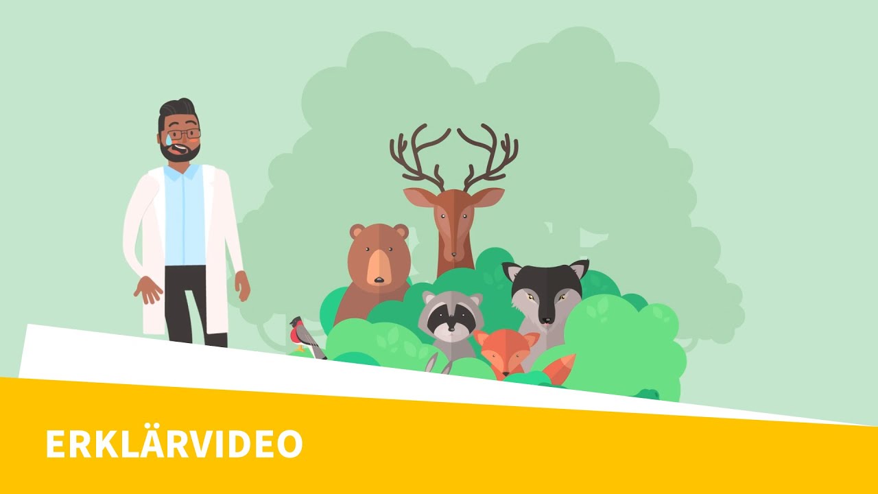Studienorientierung: Biologie studieren