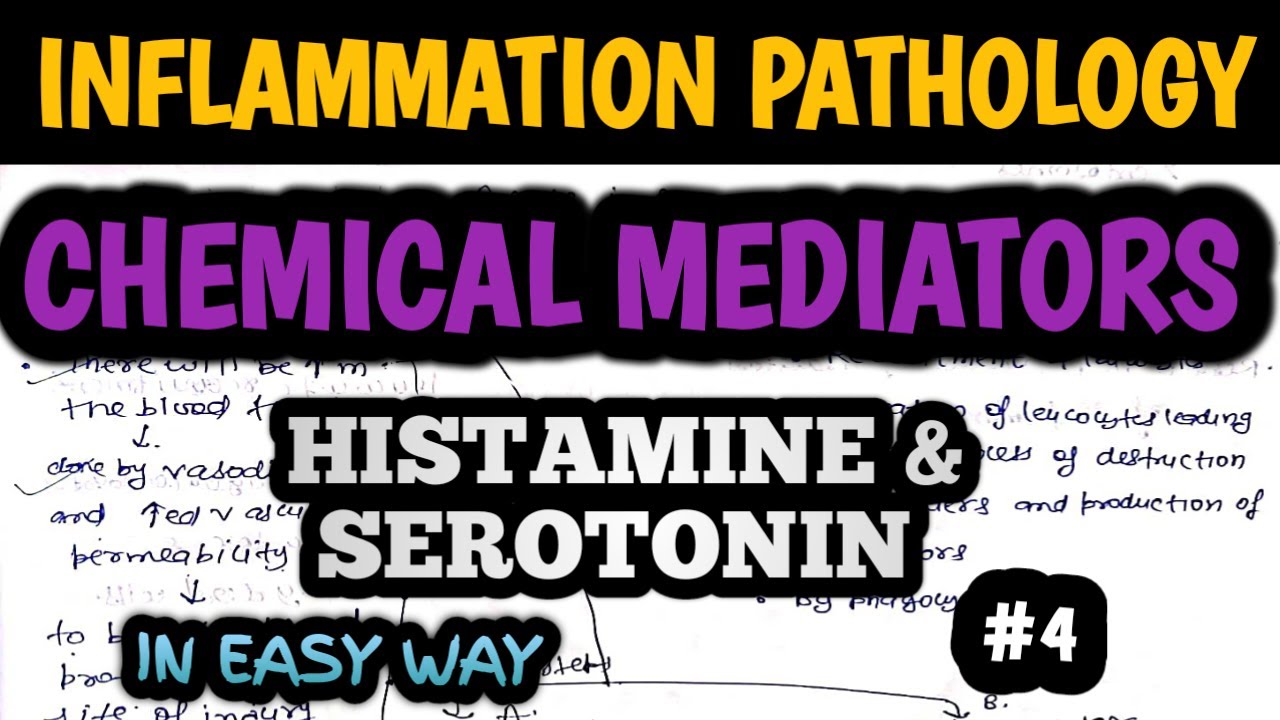 INFLAMMATION Pathology Part 4: Chemical Mediators- HISTAMINE & SEROTONIN | Inflammation in hindi