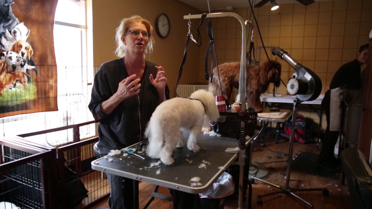 A Groomer Shares How Much She Loves Vetericyn FoamCare Shampoo