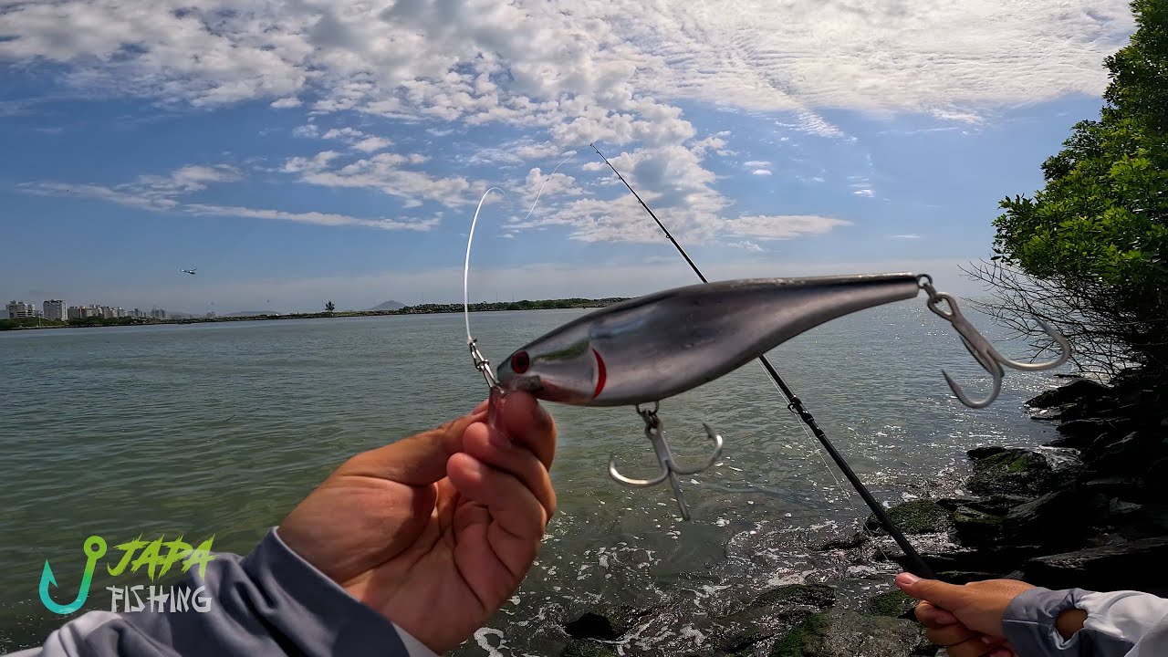 EM BUSCA DO ROBALO FLECHA GIGANTE EM ITAJA&Iacute;-SC #robalo #robaloflecha #robalos #pesca #pescaesportiva