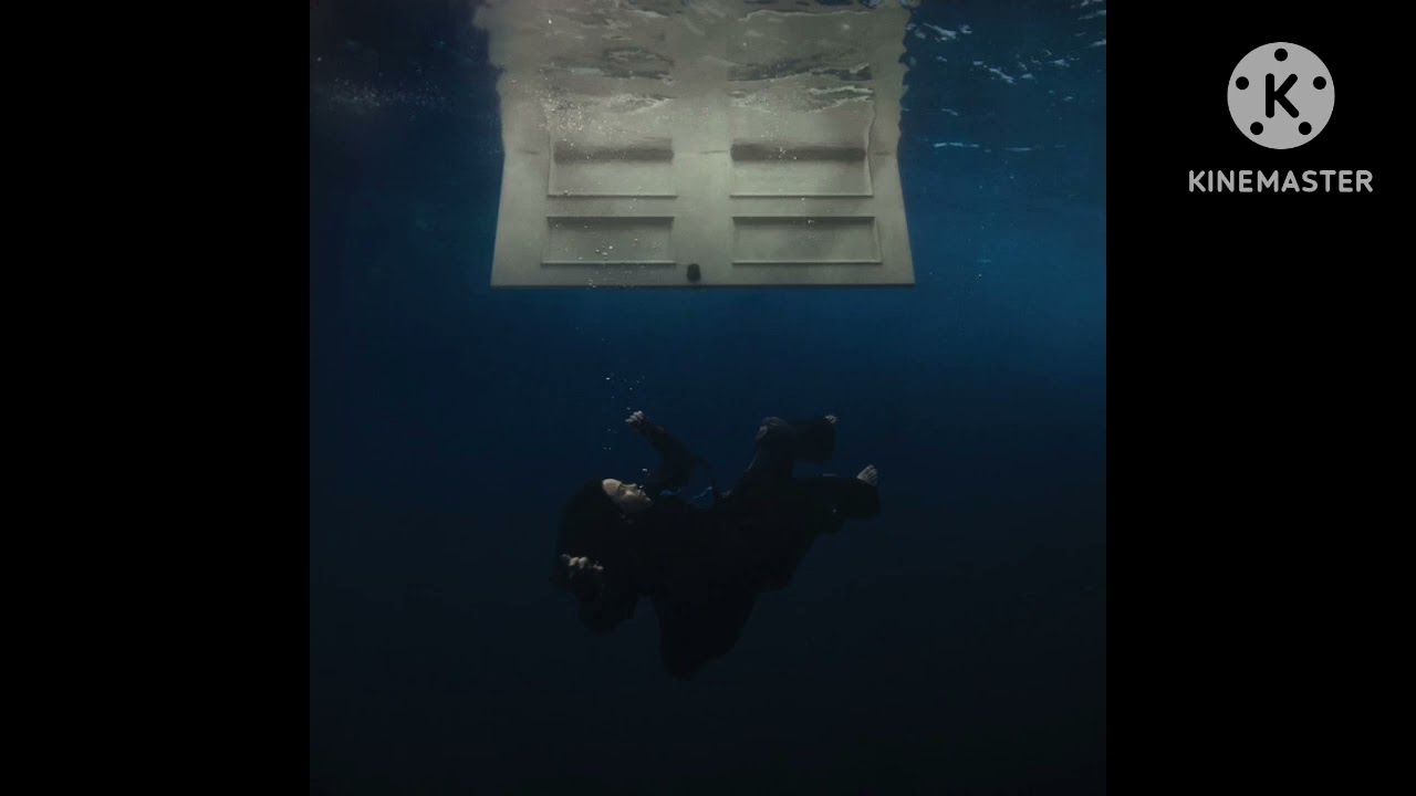 Billie Eilish - Wildflower (PAL Tone)